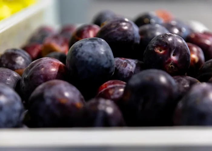 Mpm Kalina Garden 4*