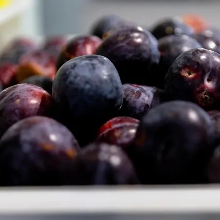 卡利纳花园mpm酒店 - 全包 4*